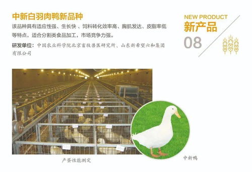 2021中國農(nóng)業(yè)農(nóng)村重大新技術(shù)新產(chǎn)品新裝備發(fā)布