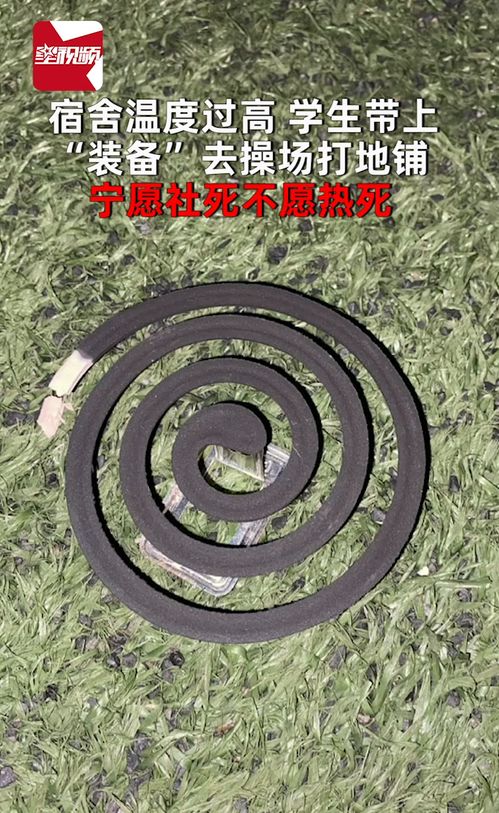 宿舍溫度過(guò)高,學(xué)生帶上 裝備 去操場(chǎng)打地鋪 寧愿社死不愿熱死